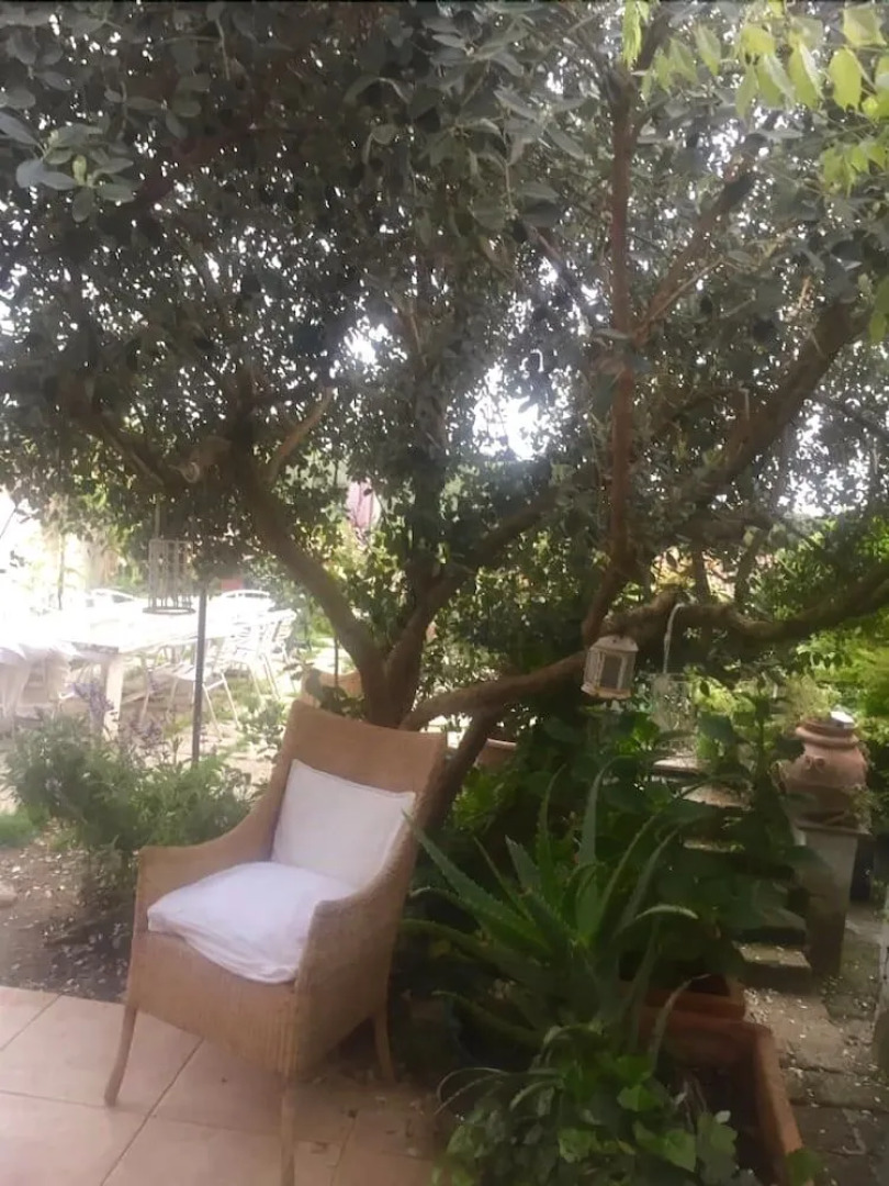 Il Cenacolo Di Sissi