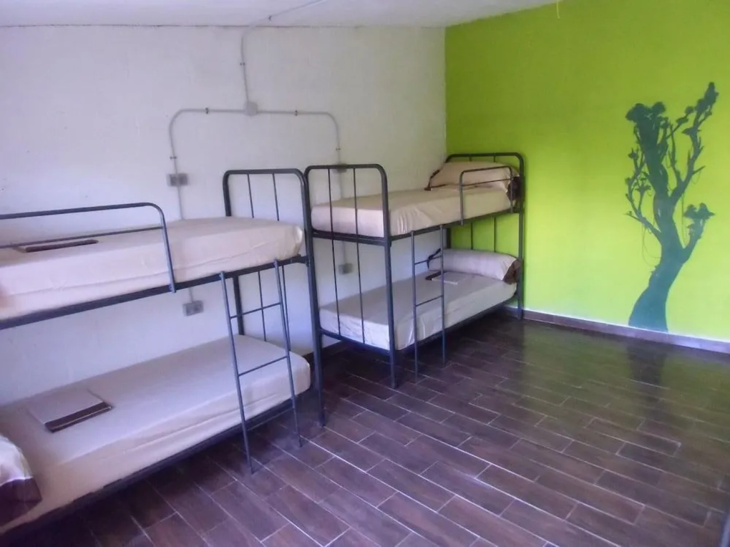 Hakuna Matata Hostel