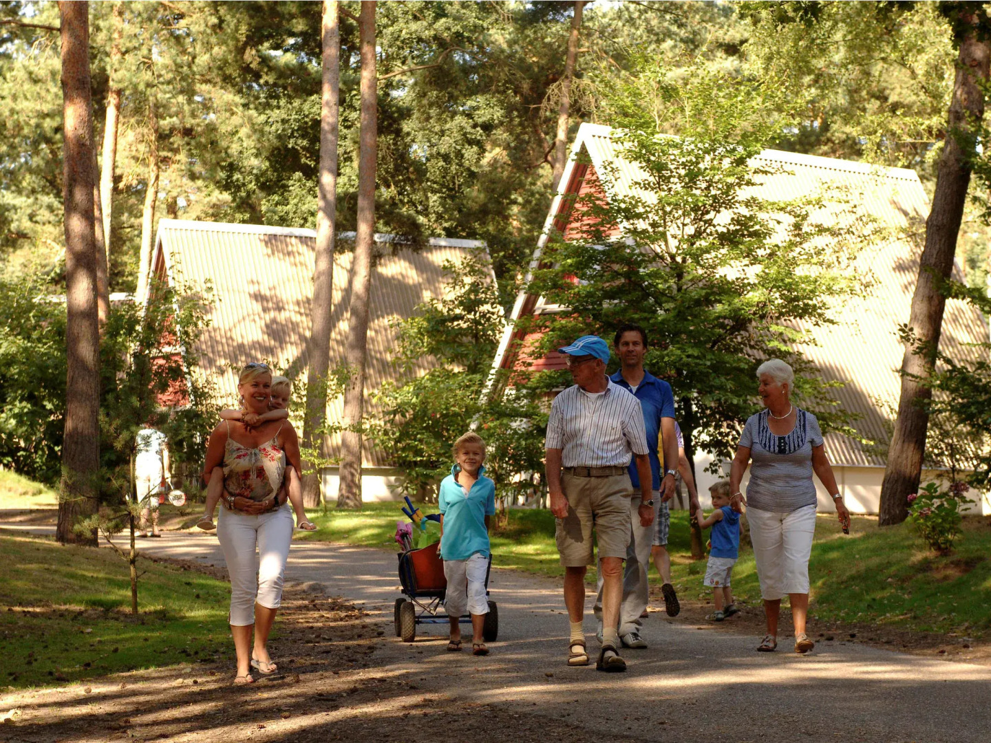 Modern Lodge With Infrared Sauna, Near Helmond