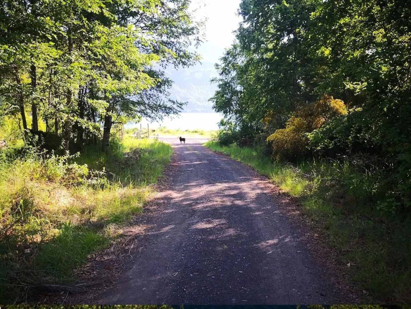 Room-cabaña Hualle con hot tub Exclusivo