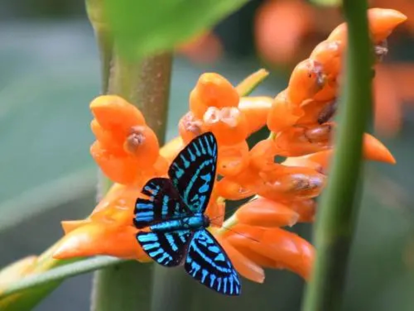 Reserva Natural Rancho Camaná