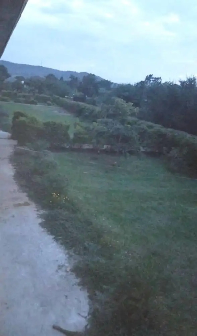 Royal Paradise Hotel