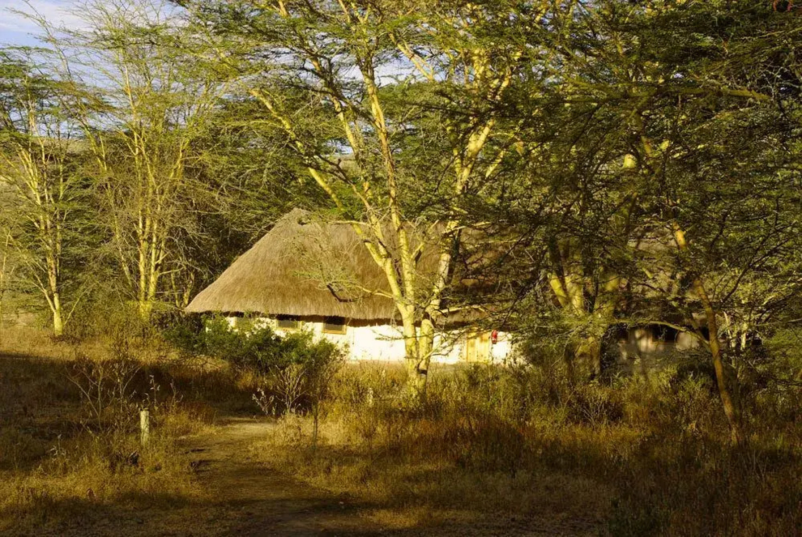 Kigio Wildlife Camp