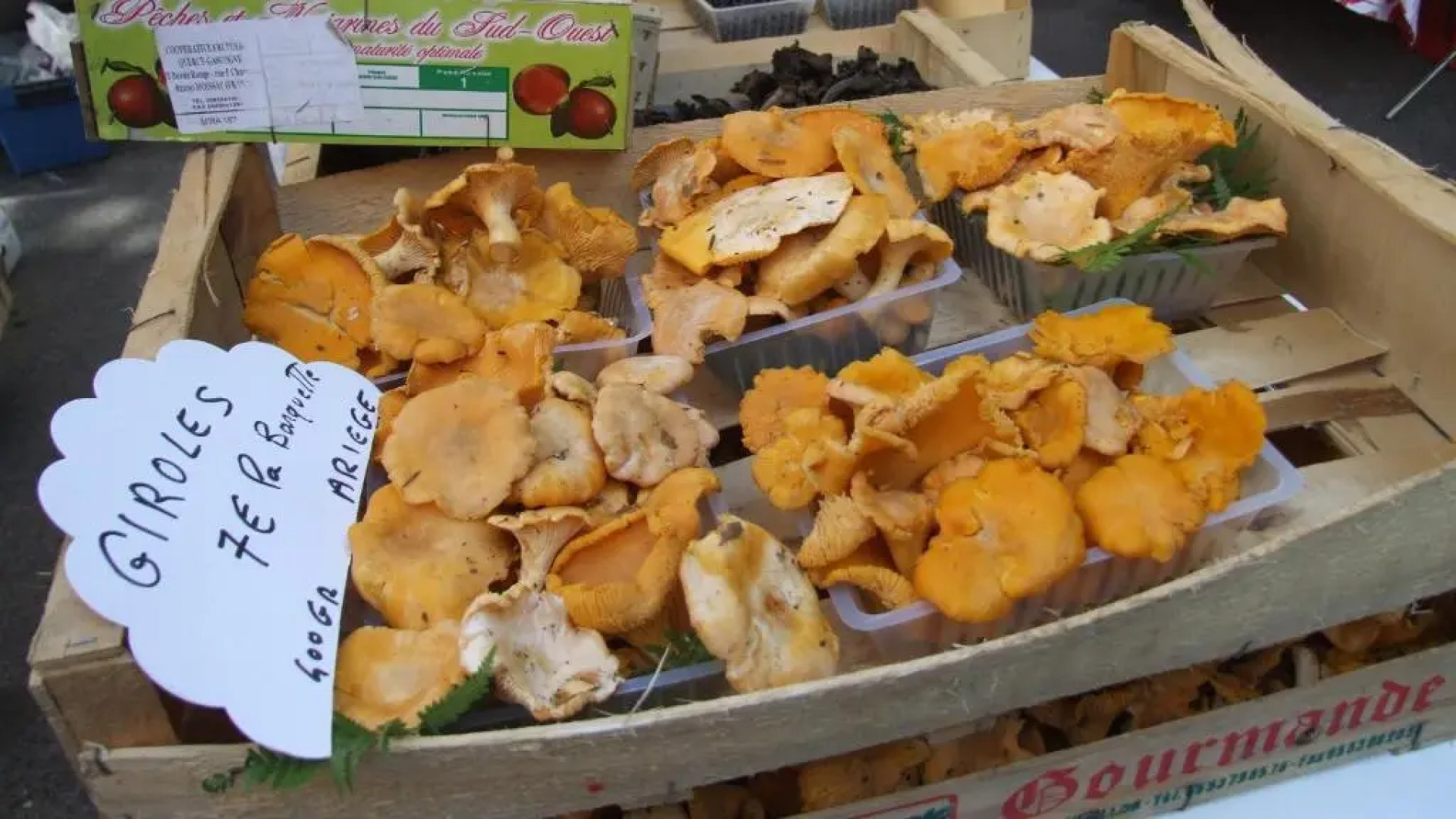 Gîtes Pyrénées Les Trois Montagnes