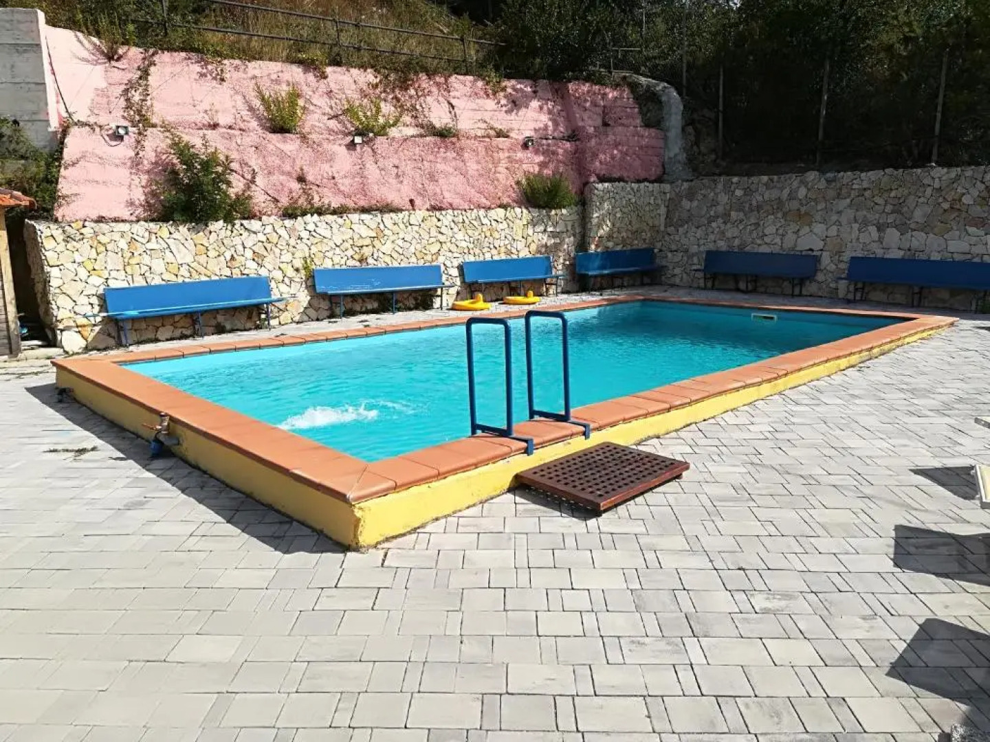 Agritusimo I Gelsi E I Castagni