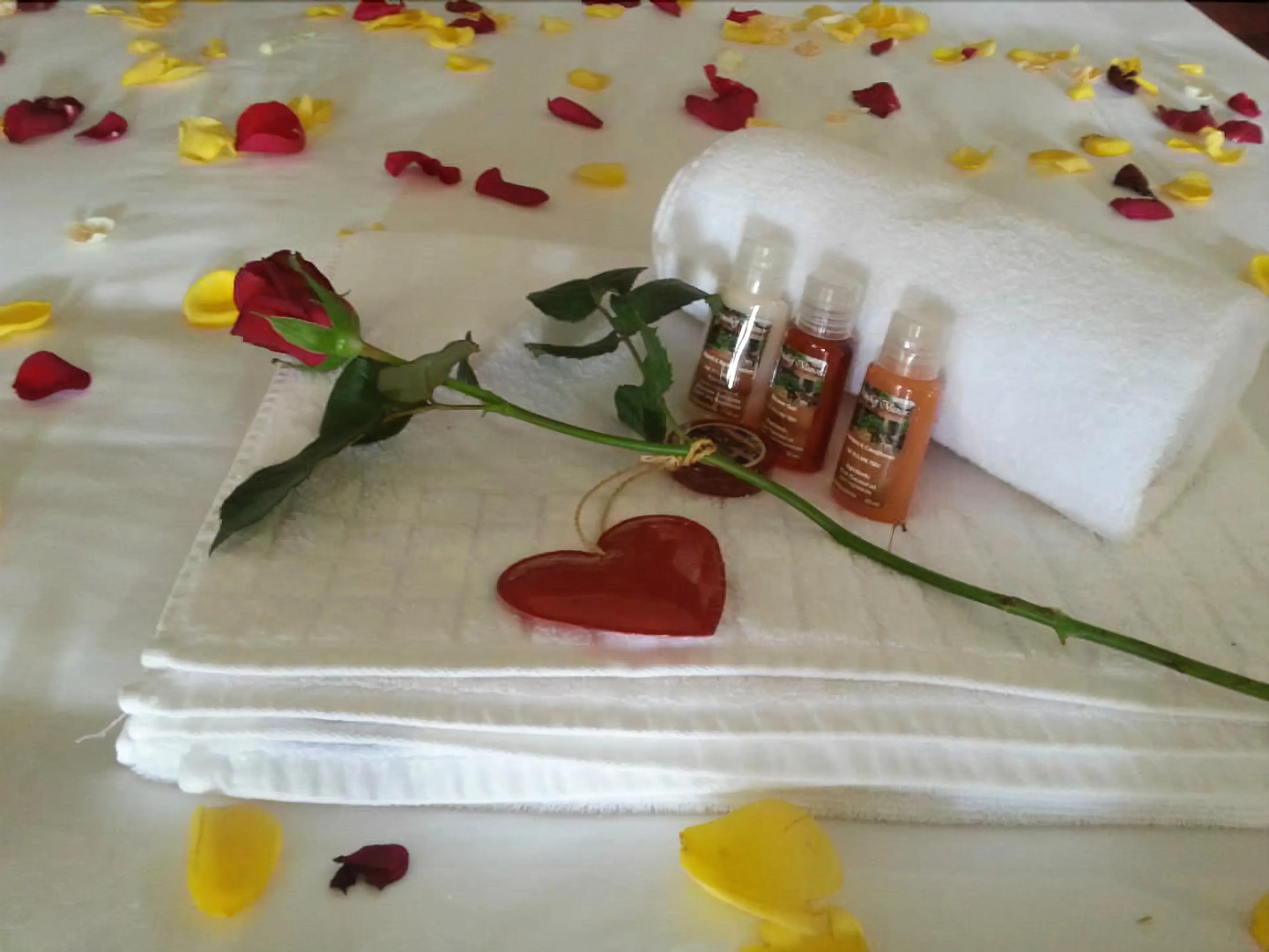 Prinshof Manor Guesthouse