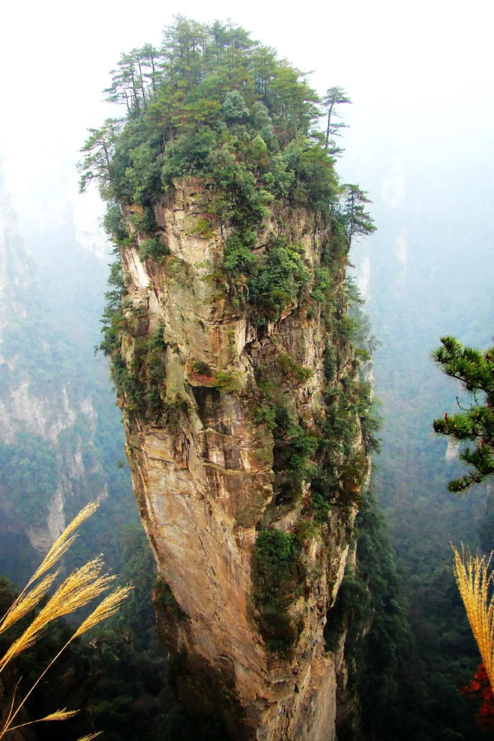 Xinwu Shanju Resort Guesthouse