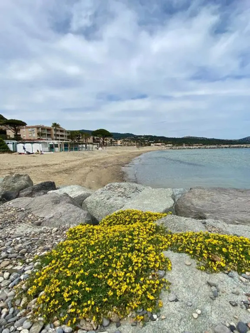 Studio 150 m de plage Golfe de Saint-Tropez
