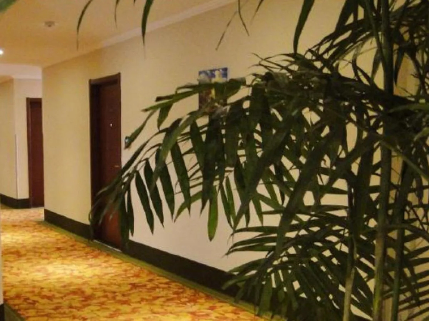 GreenTree Inn Bozhou Guoyang Shengli Road Fuyang Commercial Building Express Hotel