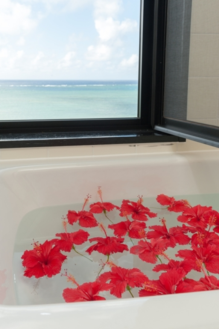 ヴィラ さちばると山の小屋