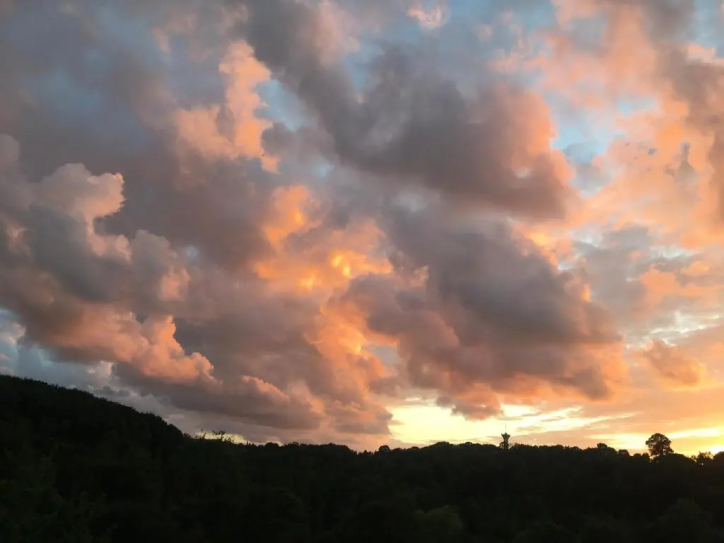 Appartement charmant avec piscine à Honfleur