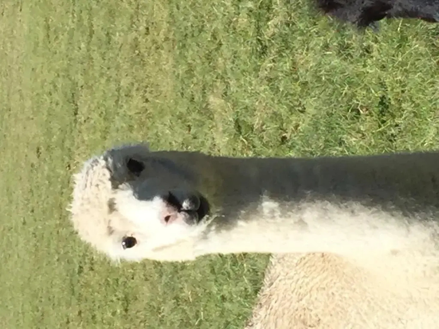 Ruapehu Country Lodge