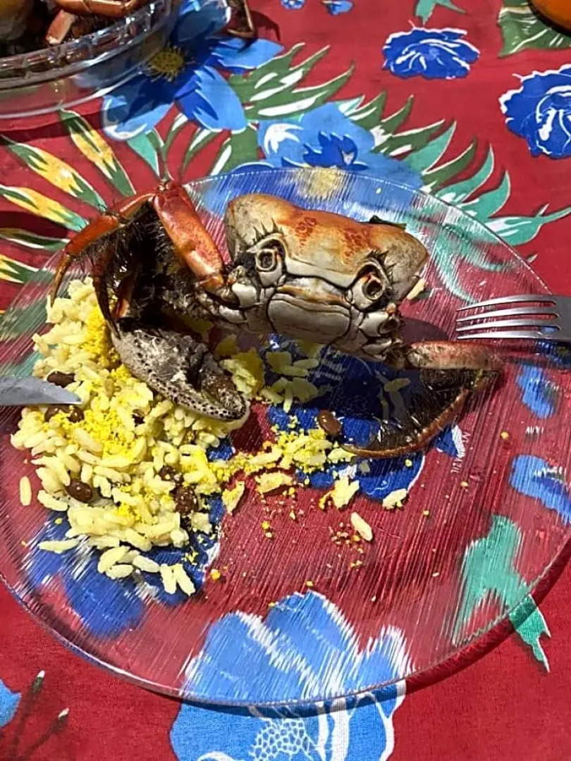 Quarto compartilhado - Tropicália's house