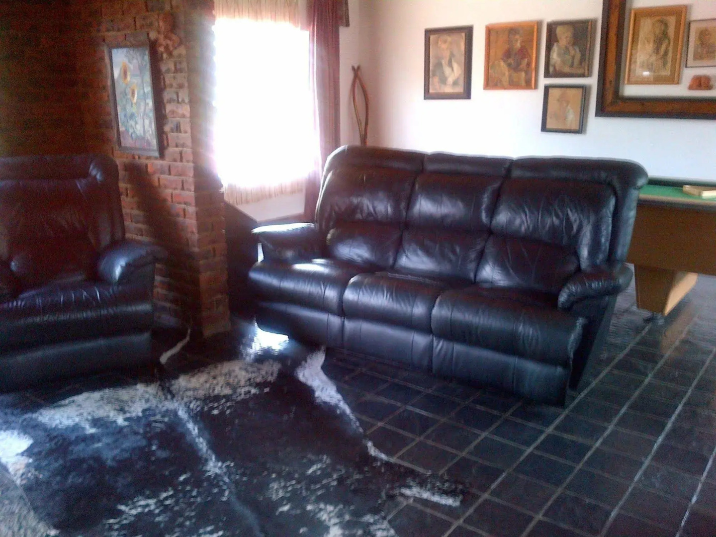 Gorgeous Gecko Guesthouse