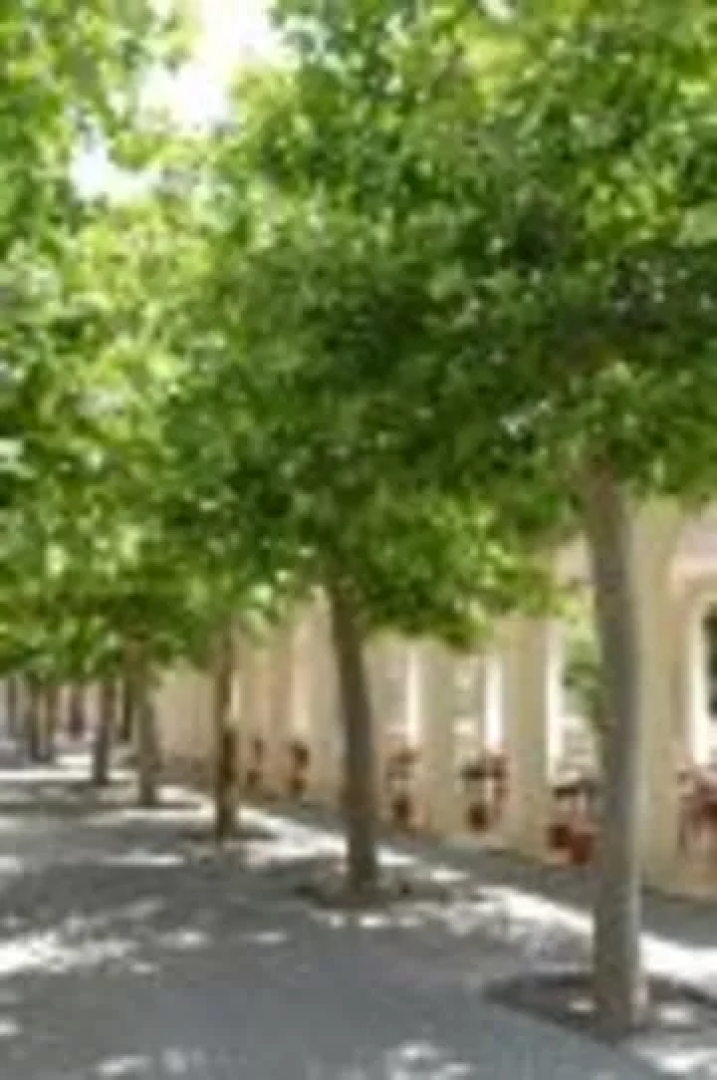 Hotel Villa Sant Andrea