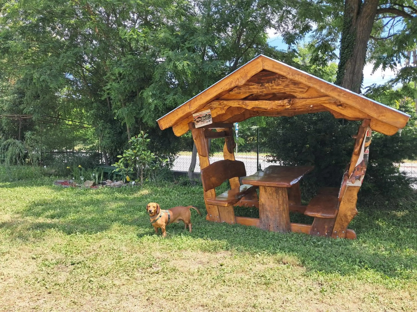 Pilikán Apartments - Park - Vineyard & Sheep farm
