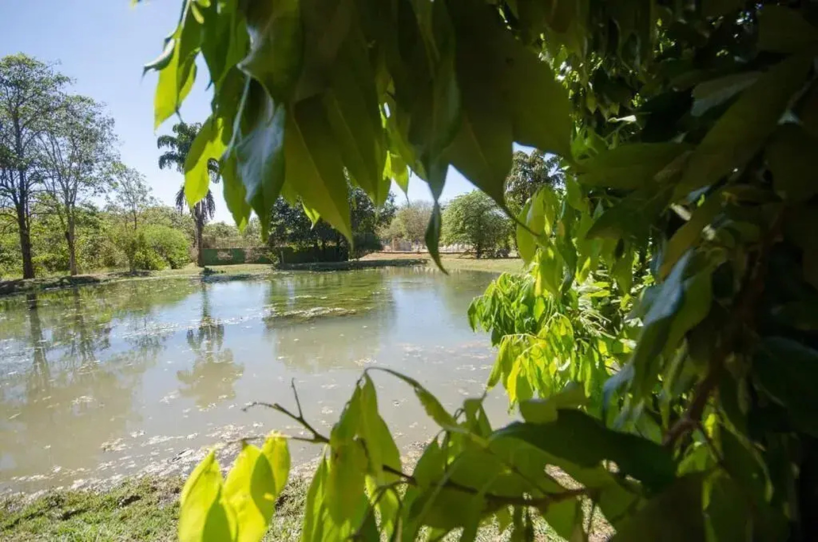 Pousada Recanto dos Pássaros