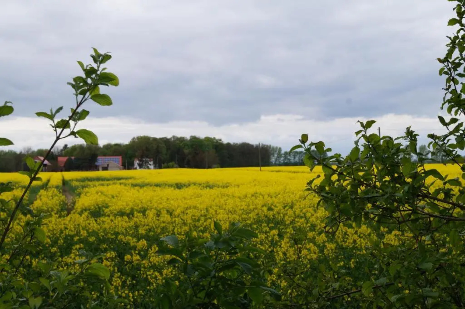 Zum Urlaub im Grünen