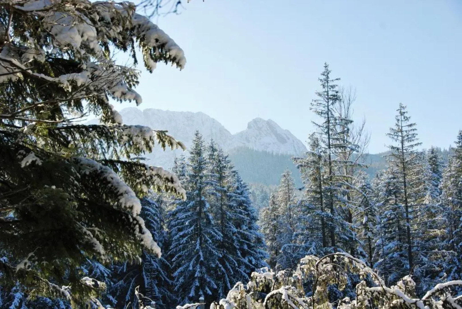 Pensjonat Biały Potok - POLSKIE TATRY S.A.