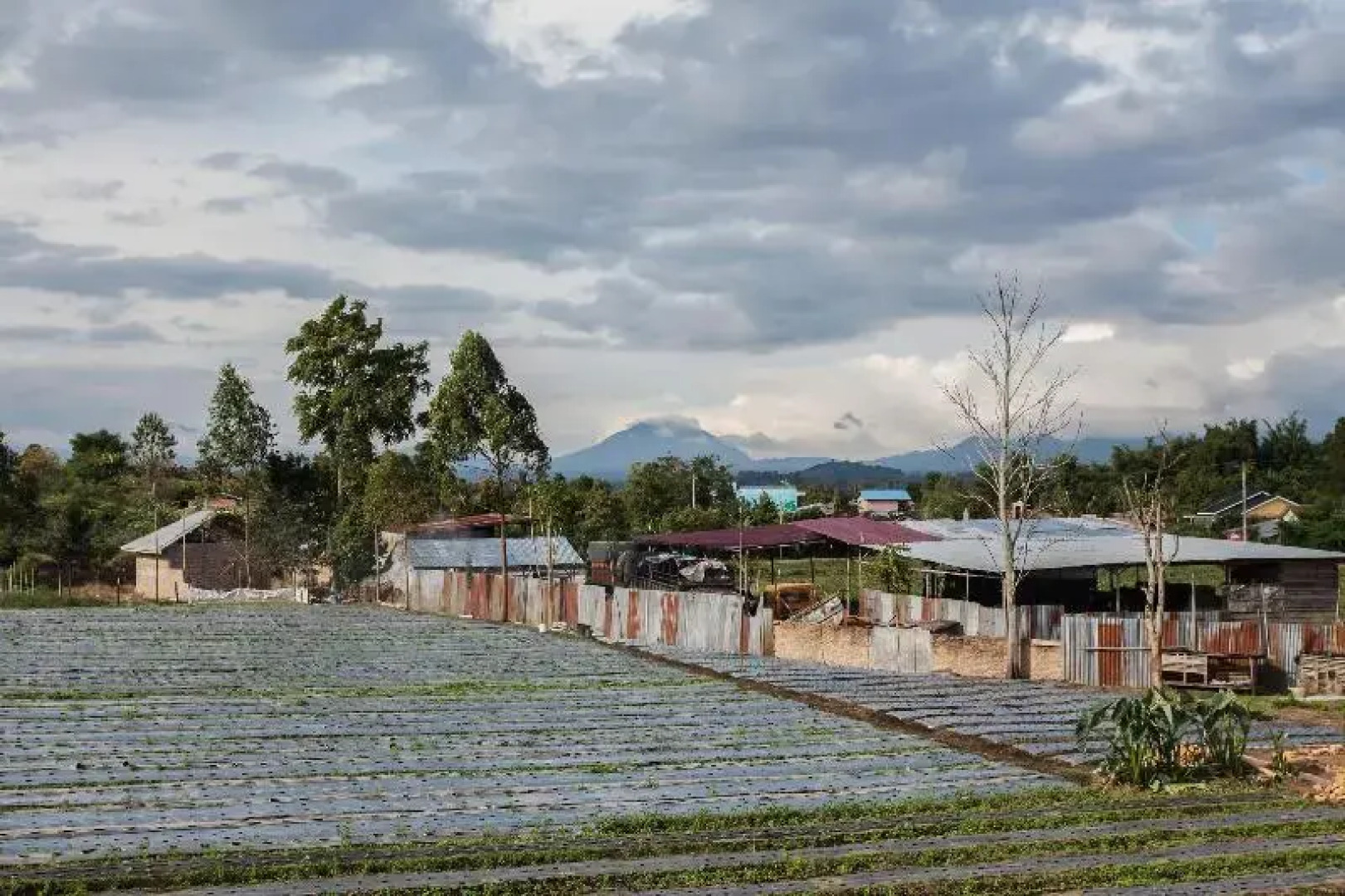 Spot On 2780 Rumah Tamu Ei Guest House