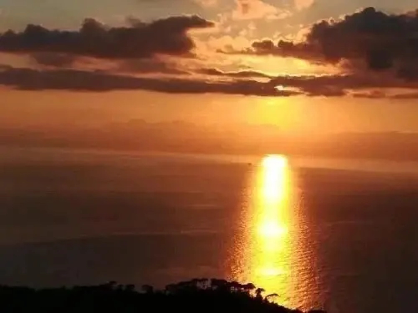 Shabby Romantic Suite