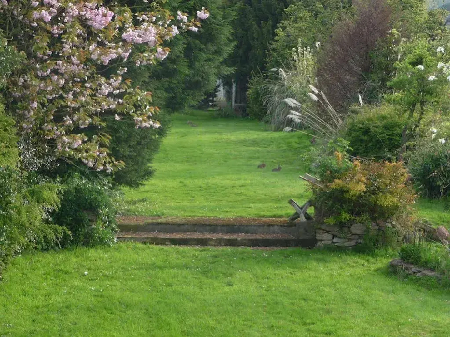 White Horse Guesthouse