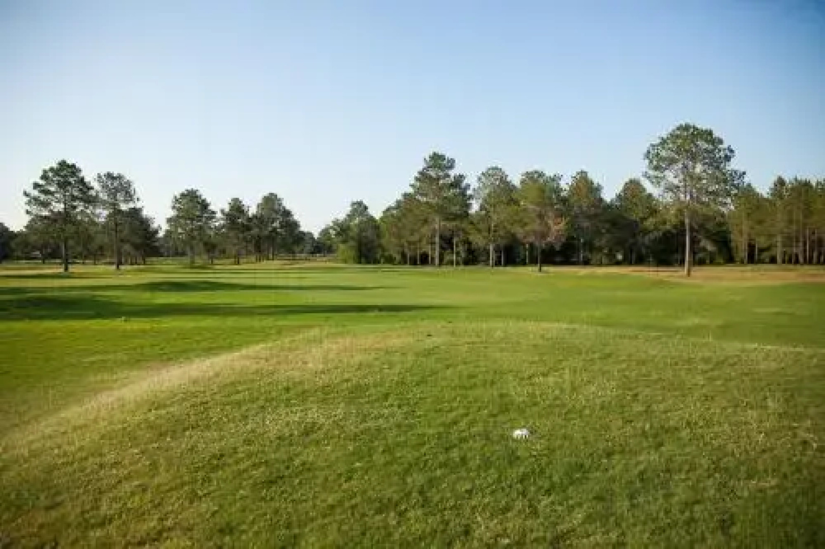 Live Oak Bed And Breakfast