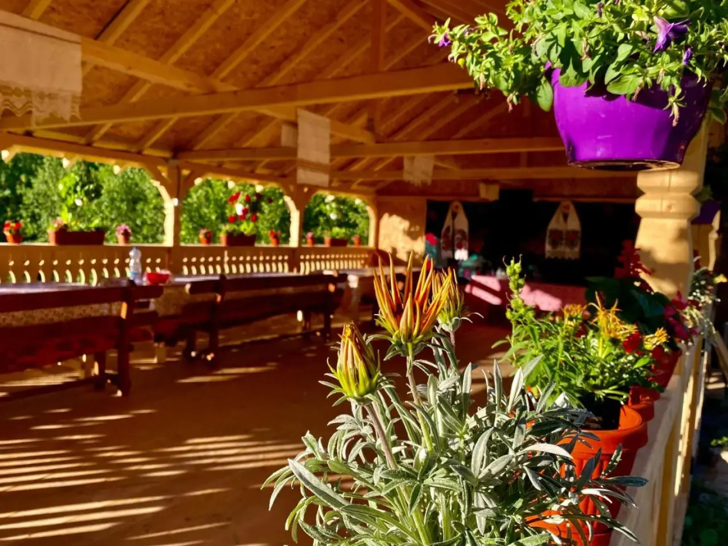 Cabana Floare de Maramures