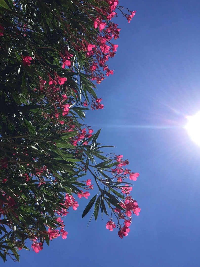 Résidence Les Sources