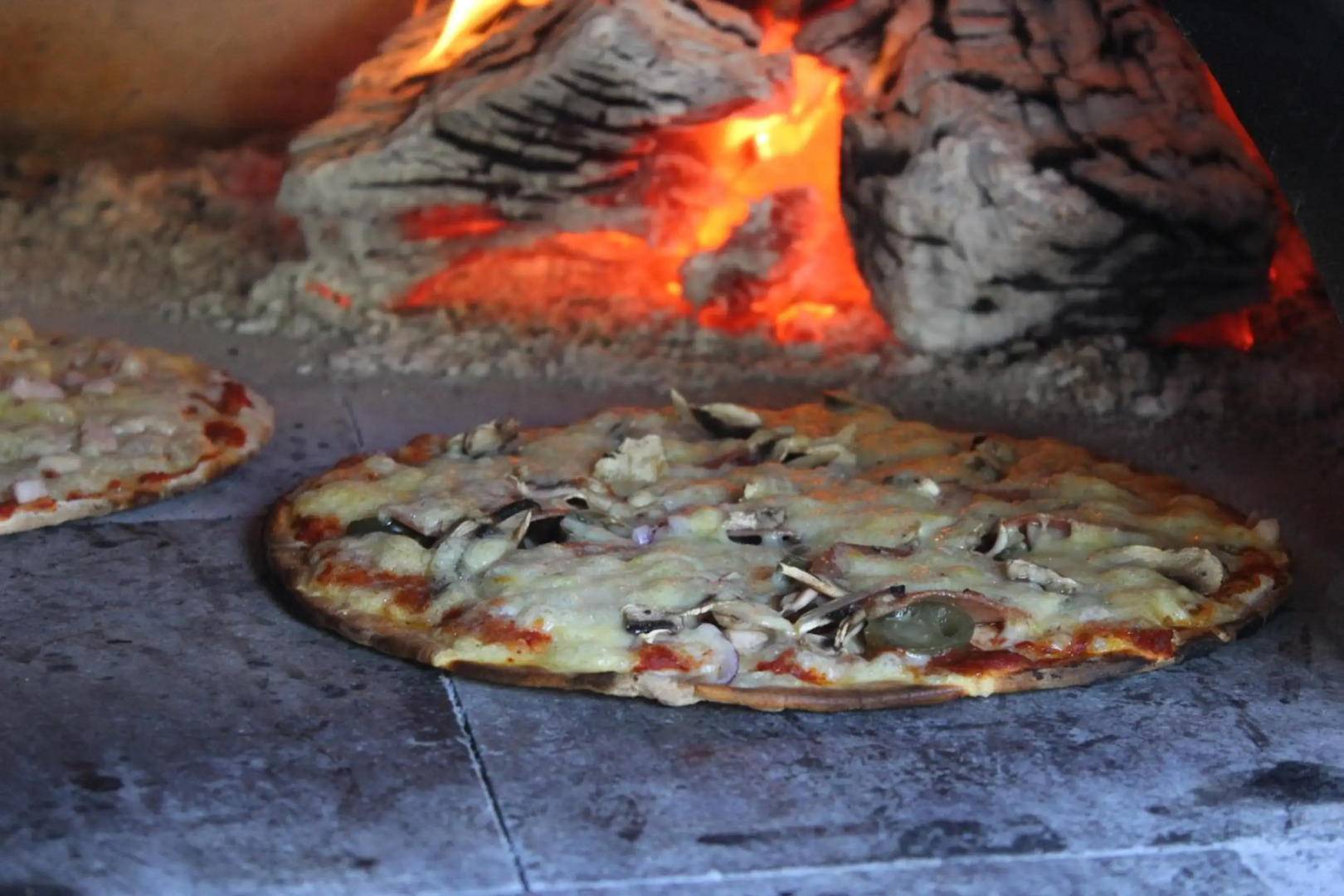 Dusky Lodge - Hostel