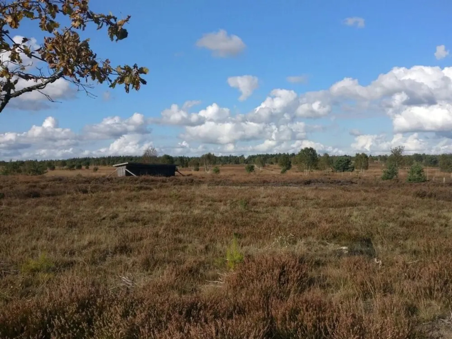 Ahlers Holiday Apartment