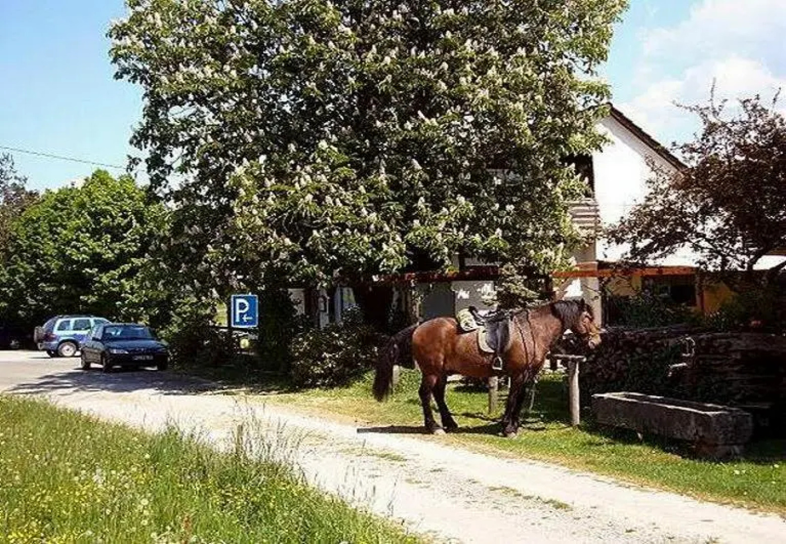 Gasthaus-Pension Zum Brandweiher