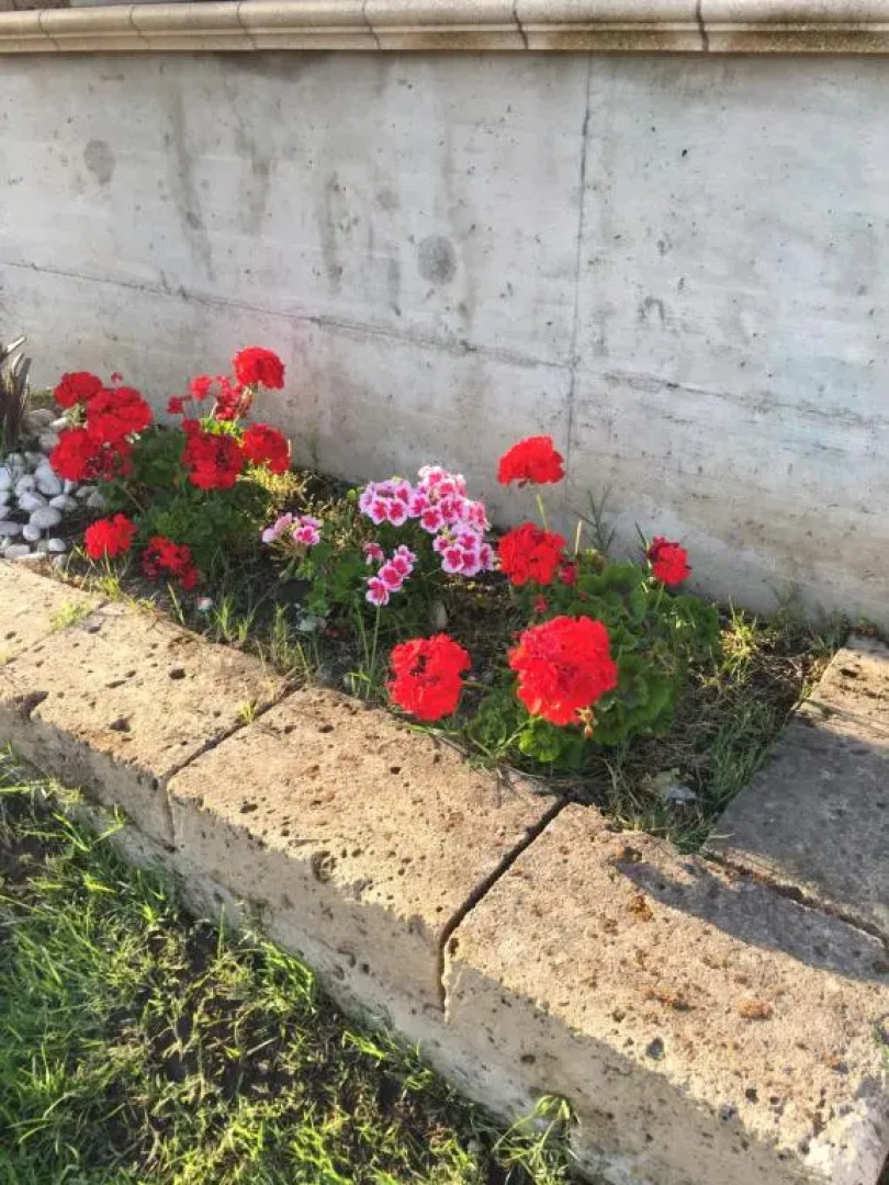 camera con giardino e piscina