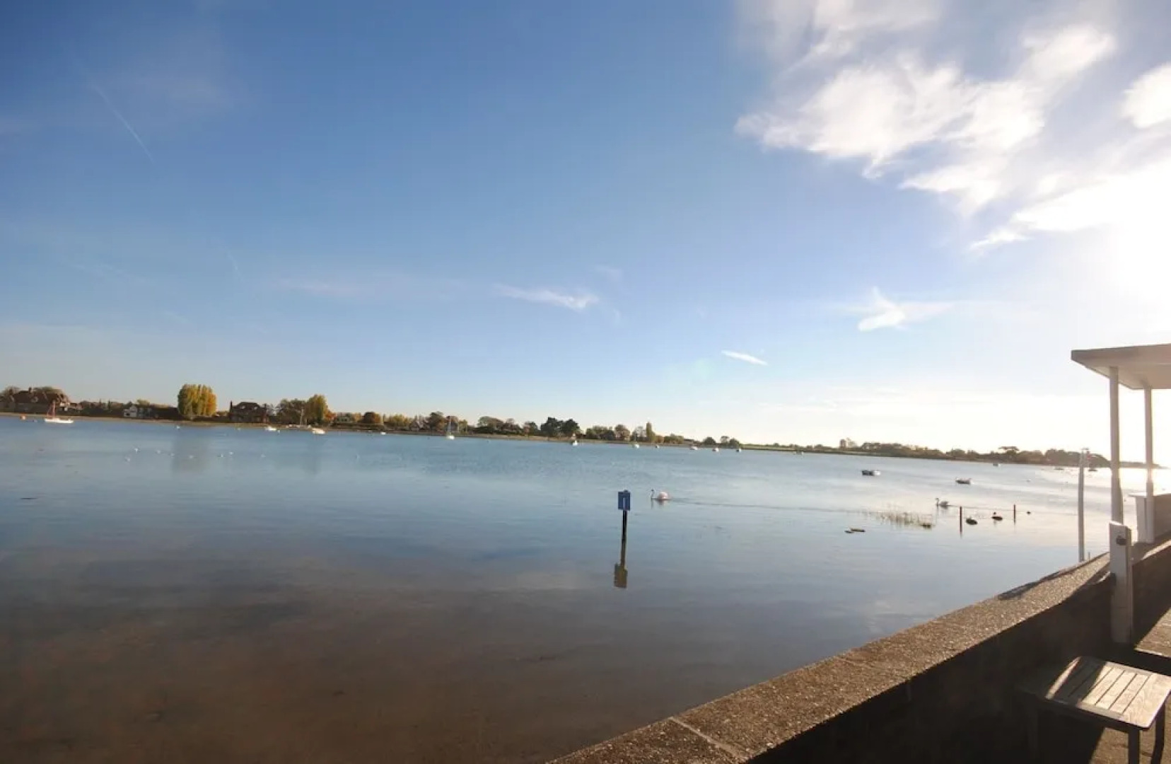 Oysters, Bosham 25299