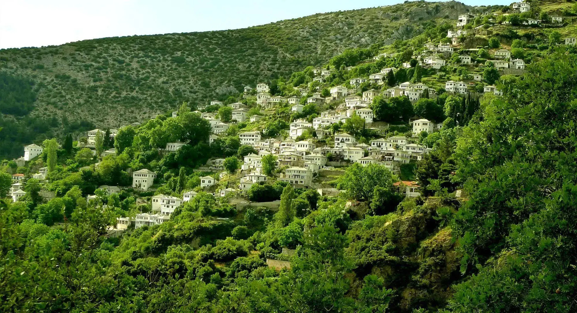 The Lotus Tree Archontiko