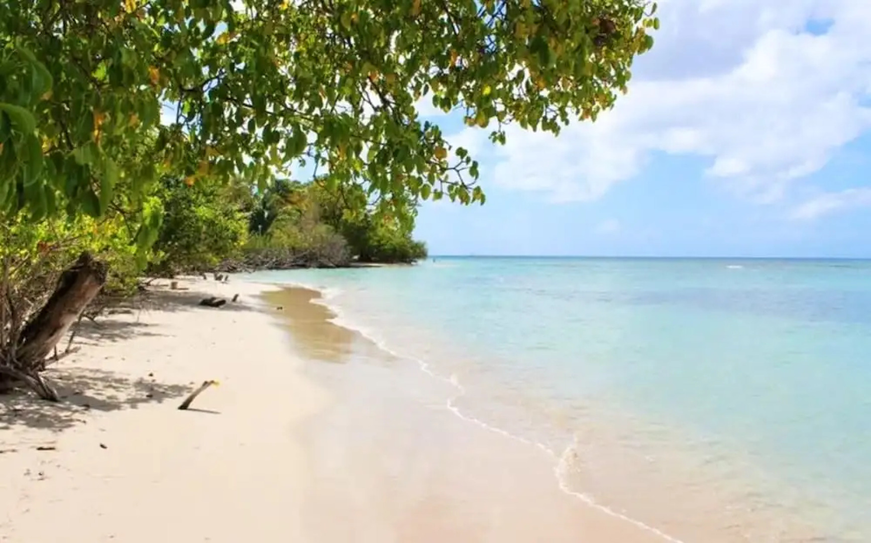 Studio in Sainte-anne, With Pool Access, Enclosed Garden and Wifi - 5