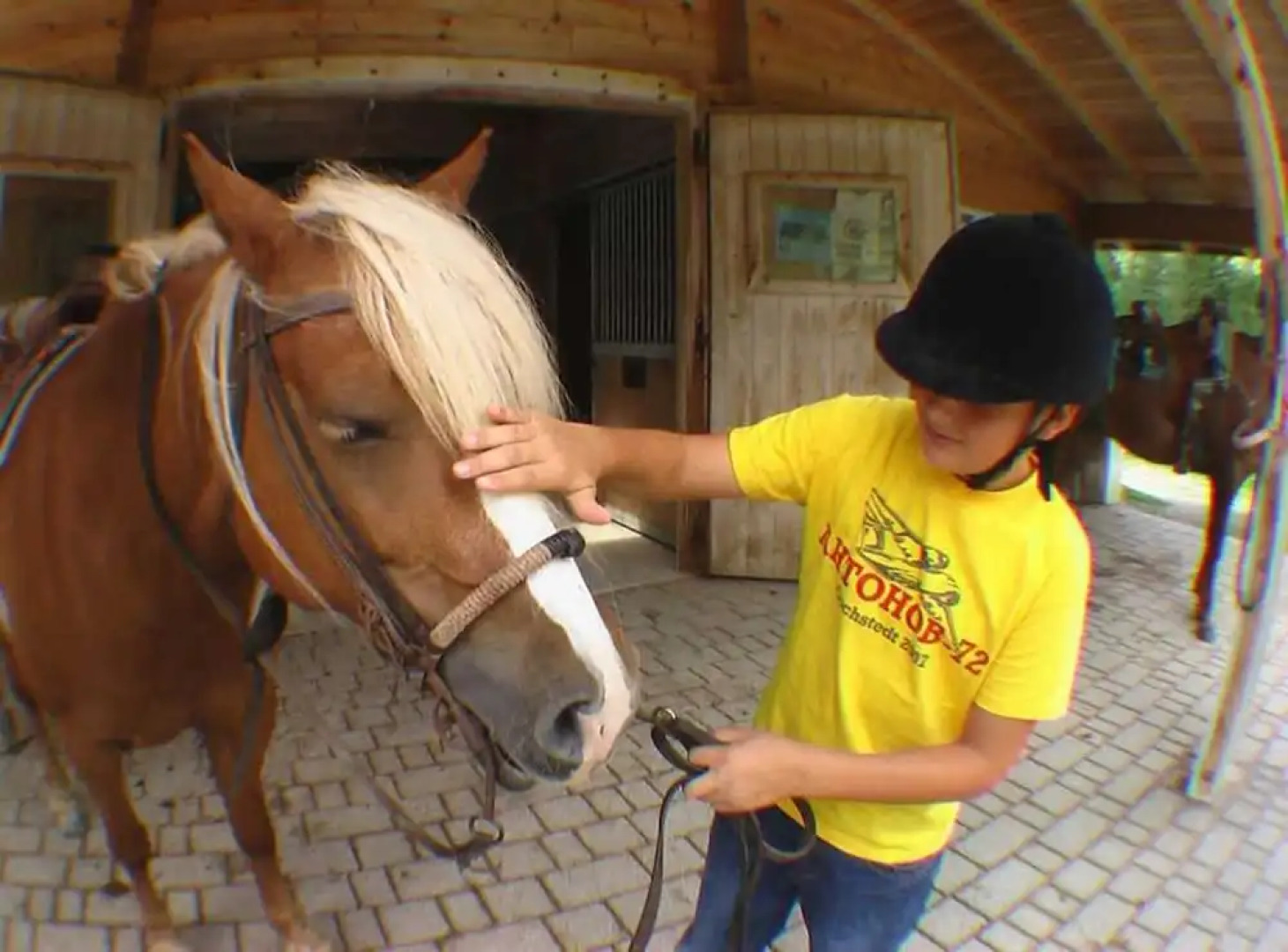 B&B Villa Dolomites Hut