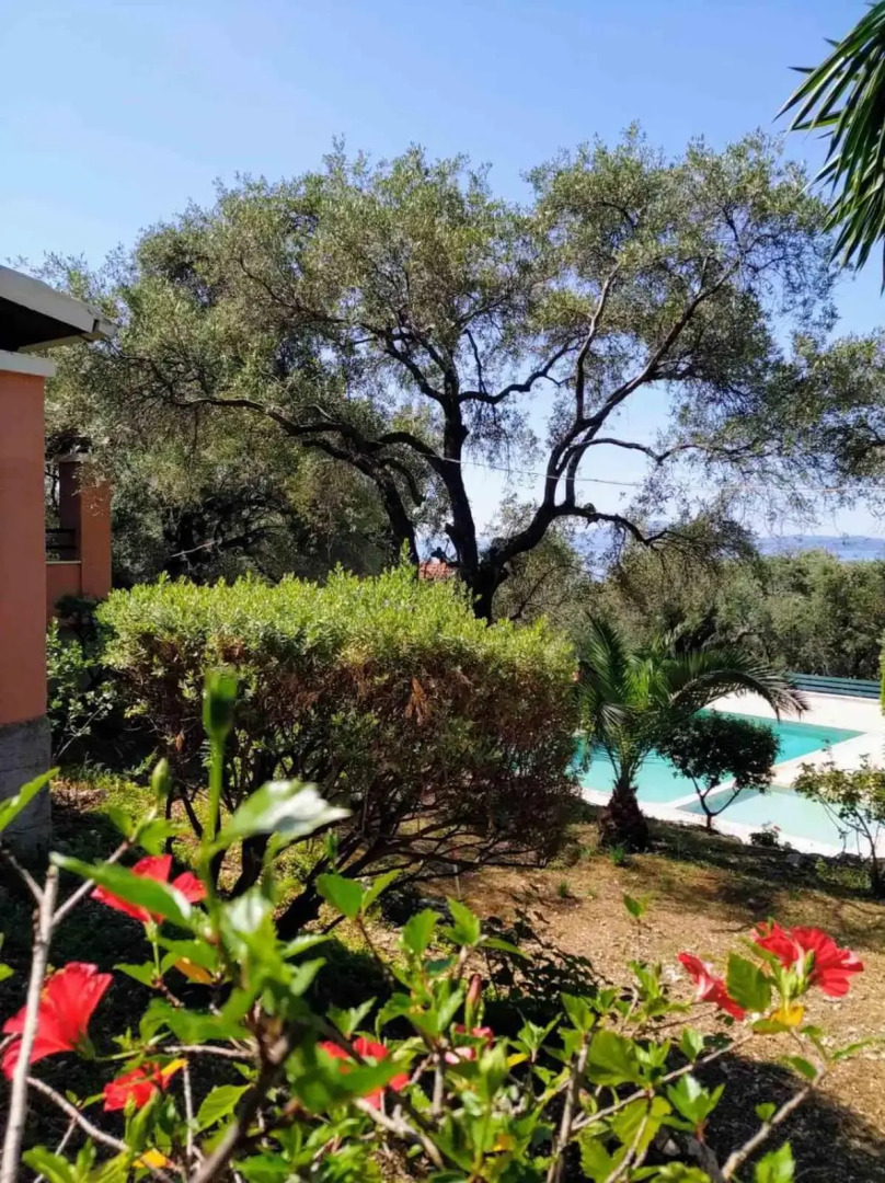 Villa Stefanos apartments