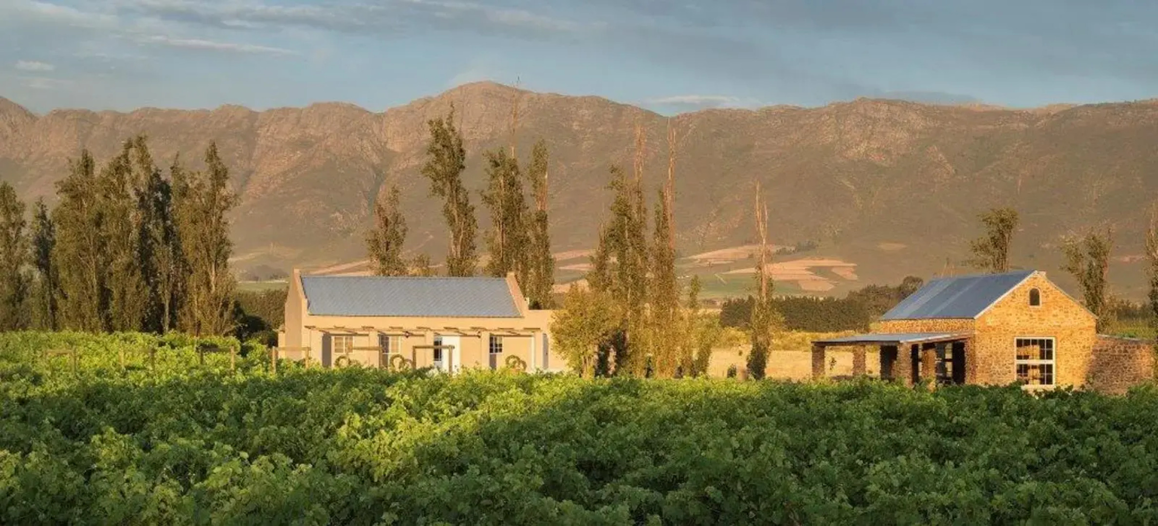 Saronsberg Vineyard Cottages