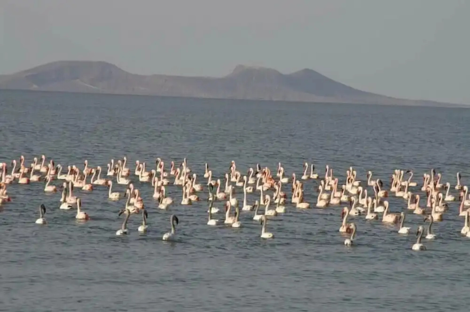 Napak Resort - Campsite