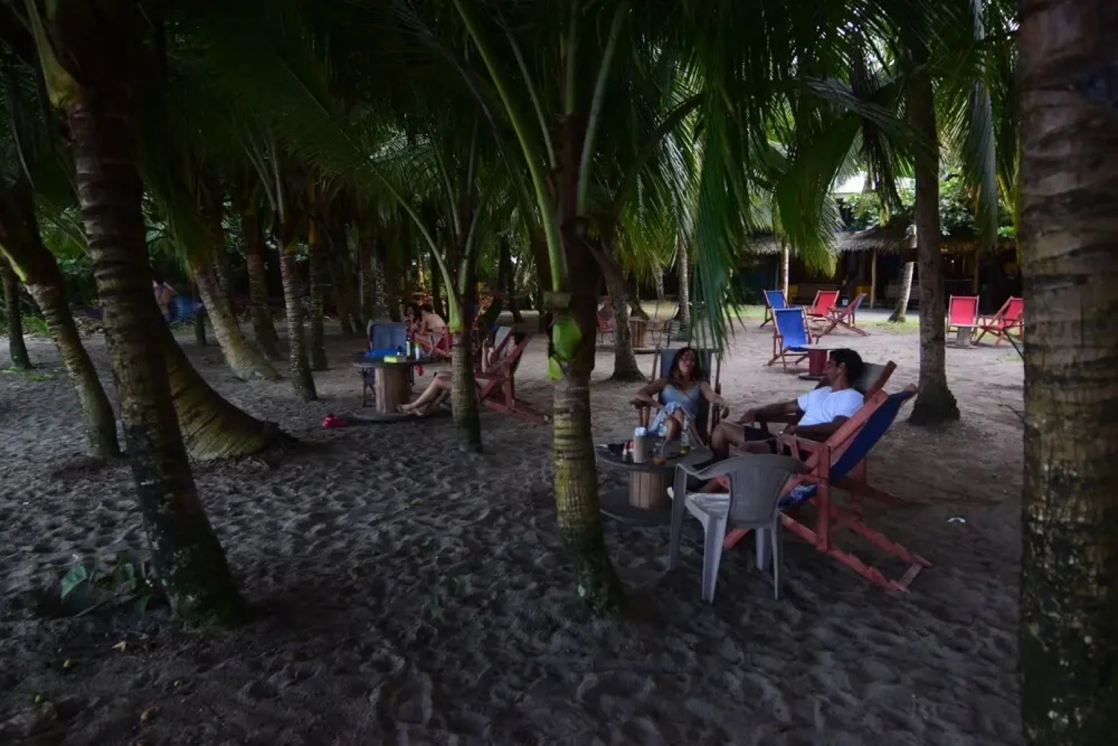 Playa 506 Beachfront Hostel