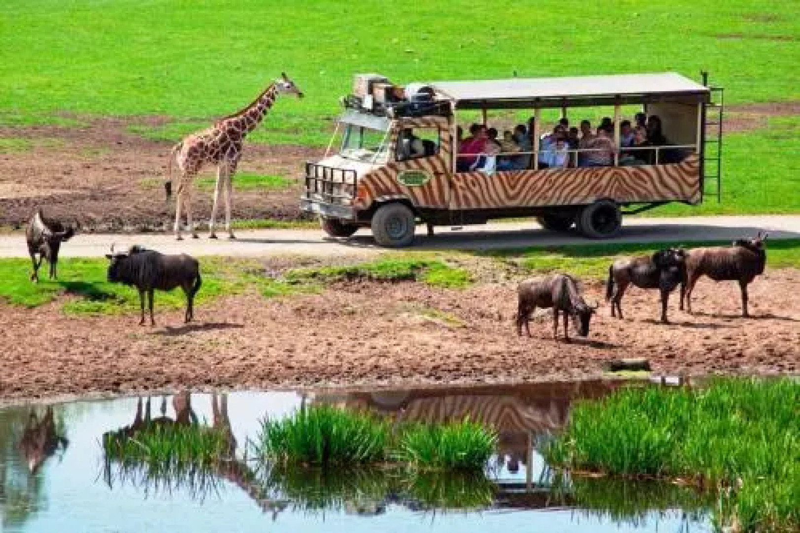 Serengeti Park