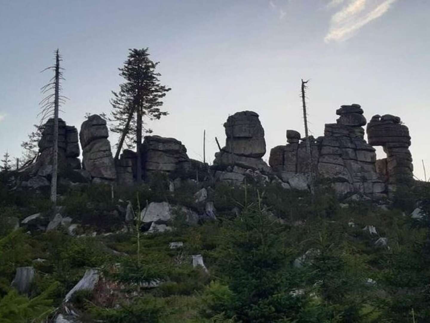 Welcoming Chalet near Forest in Rohrnbach