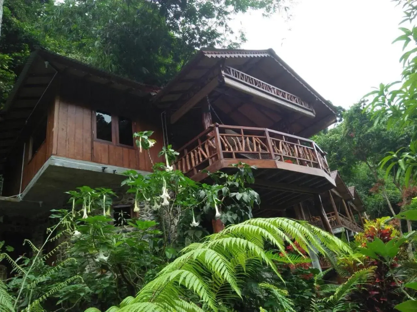 Kupu Kupu Garden Guest House & Cafe