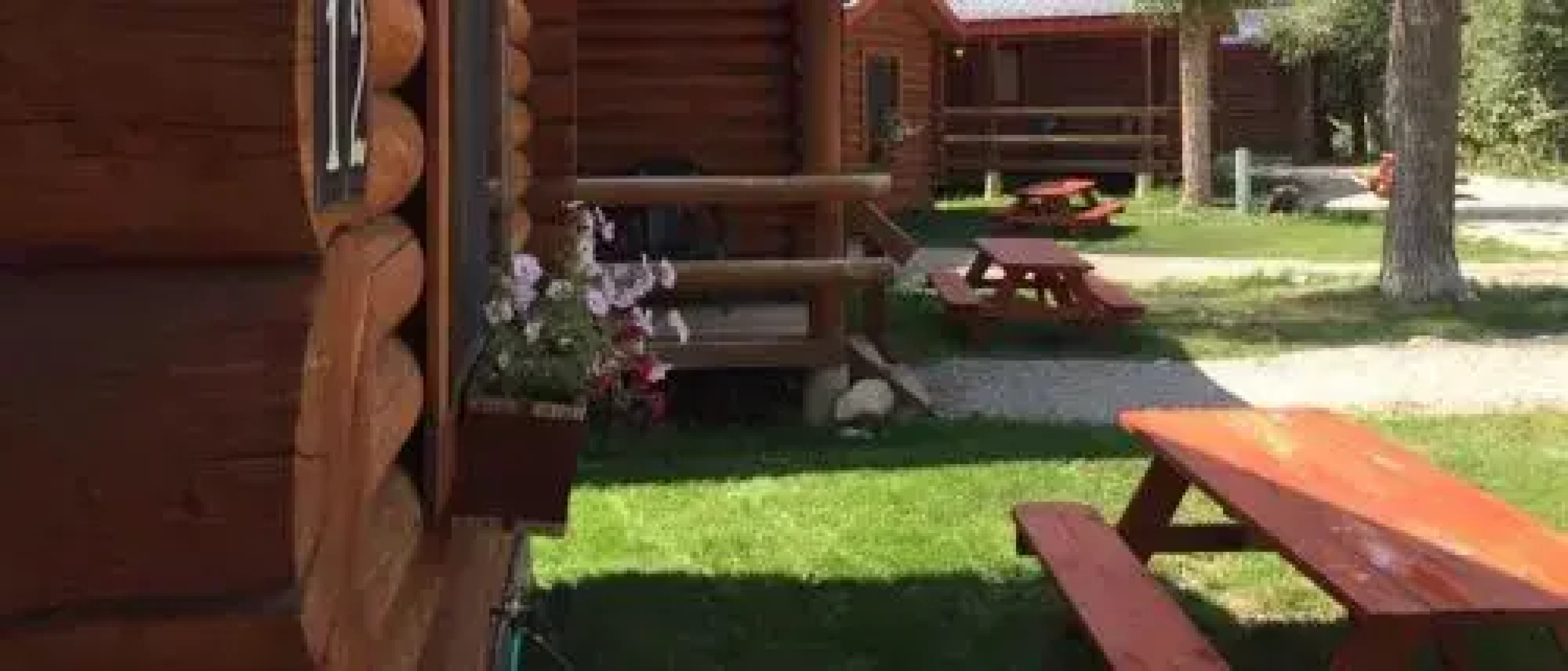 Teton Valley Cabins