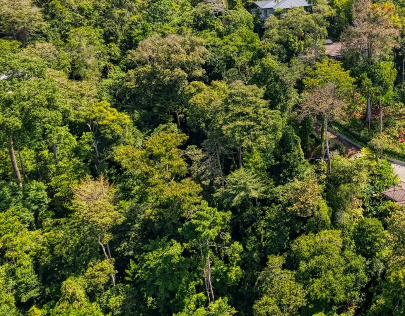 Short Walk to Restaurants Cafe Bar Saltwater Pool