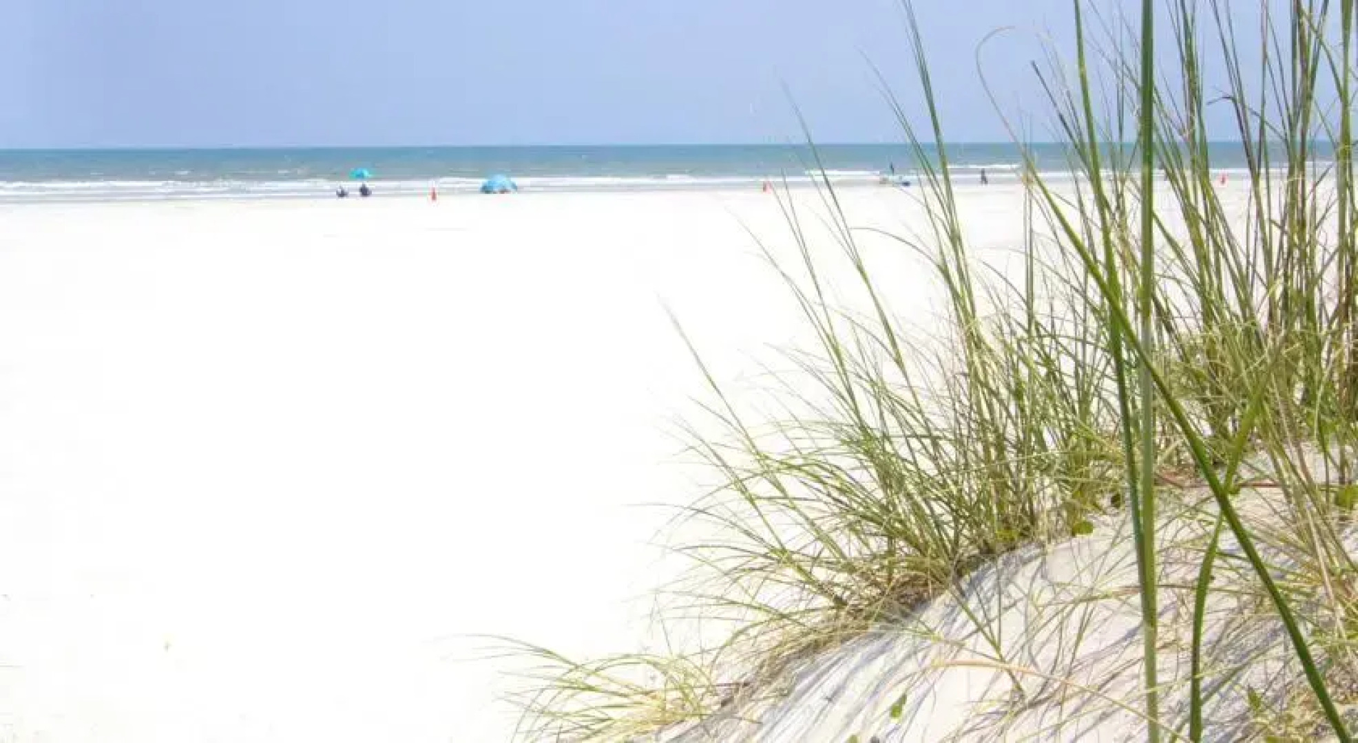 Harbor Paradise by Vacation Rental Pros