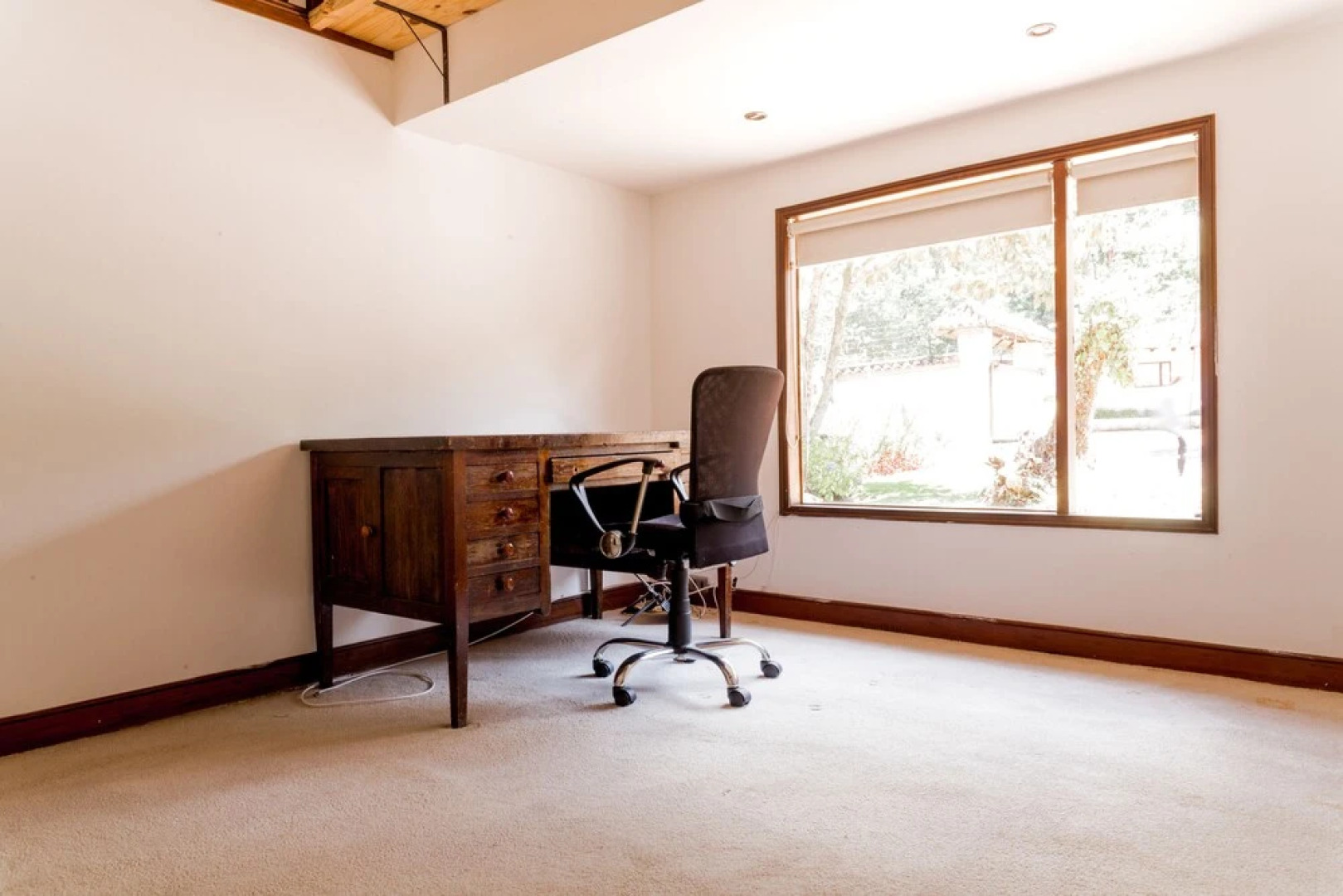 Cueva Del Oso By Nomad Guru