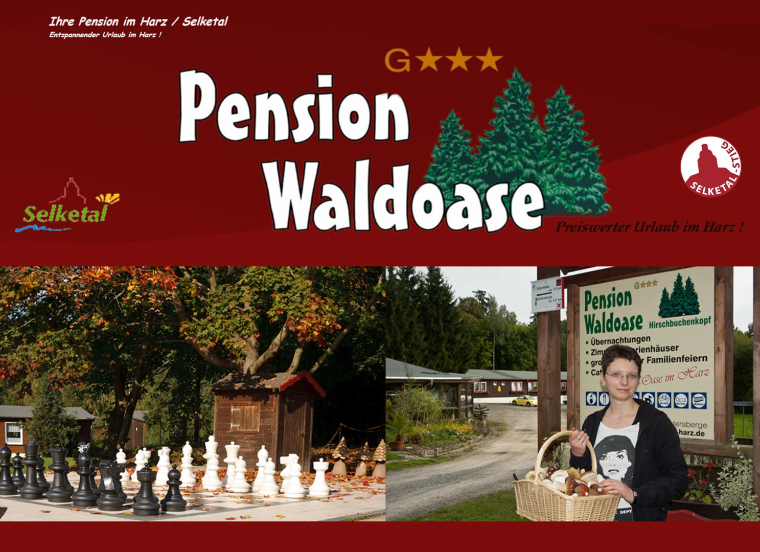 Pension Waldoase Hirschbüchenkopf