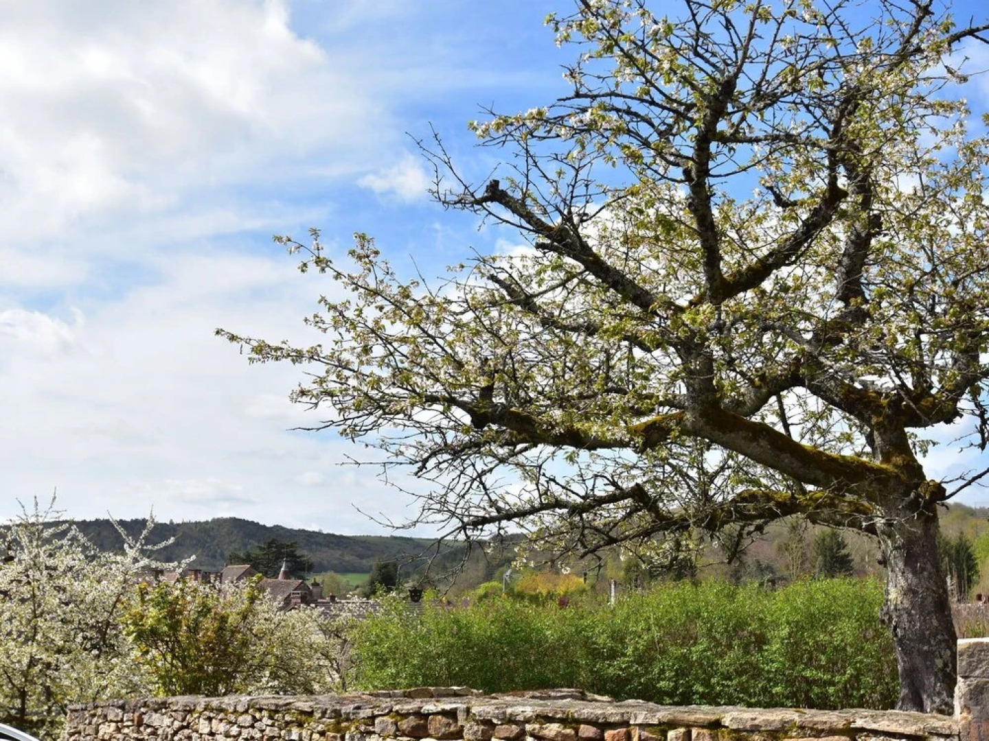 Pleasant House in Medieval Village, With Restaurants Within Walking Distance!